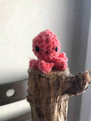 Calypso, la Mini Pieuvre Trop Chou