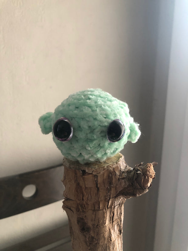  Plouf ! Voici Mini-Baleine