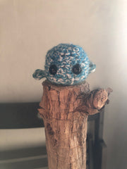  Plouf ! Voici Mini-Baleine