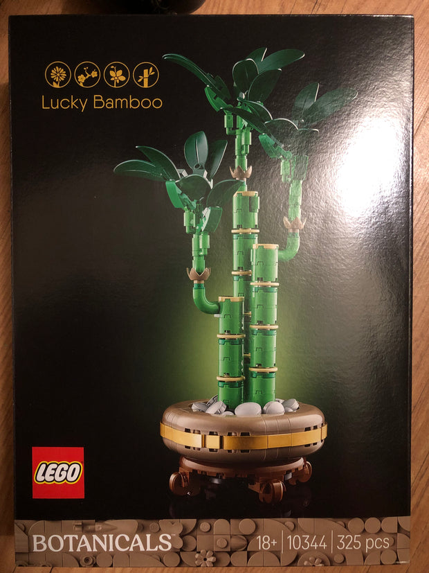 lucky bamboo